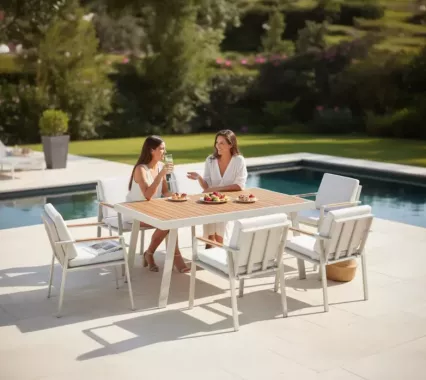 ensemble repas table et 8 fauteuils NOFI