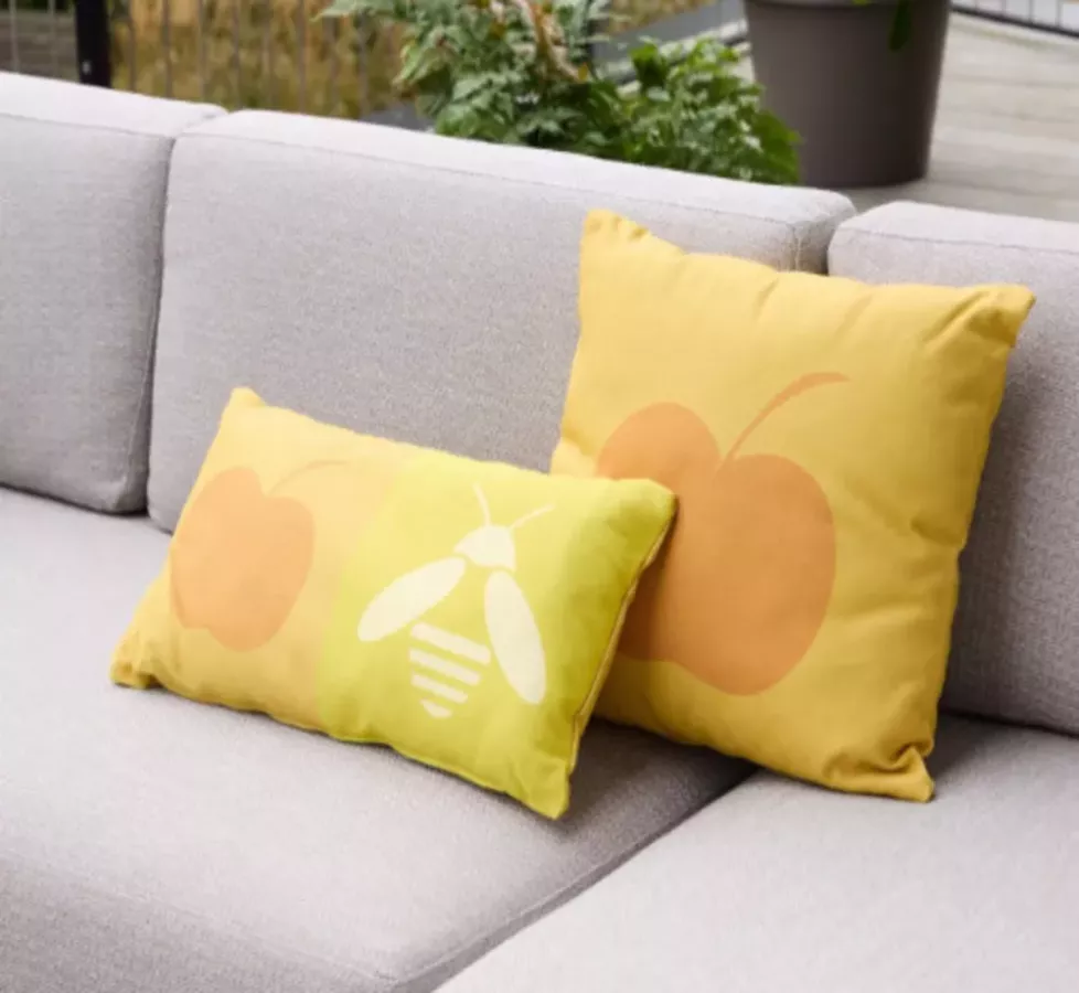 COUSSIN DECORATIF EXTERIEUR APPLE BEE
